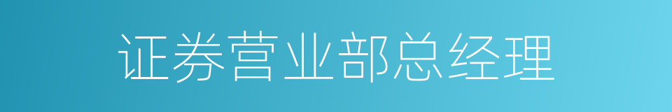 证券营业部总经理的同义词