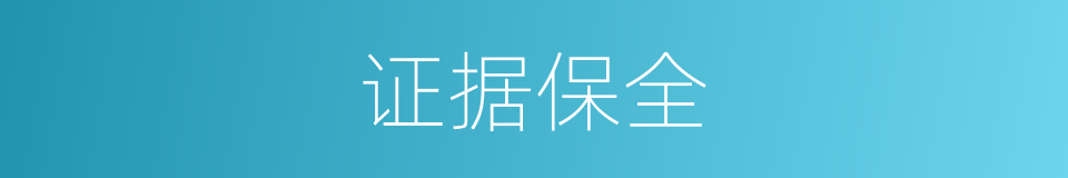证据保全的同义词