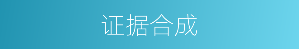 证据合成的同义词