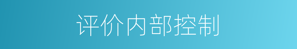 评价内部控制的同义词
