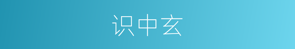 识中玄的同义词