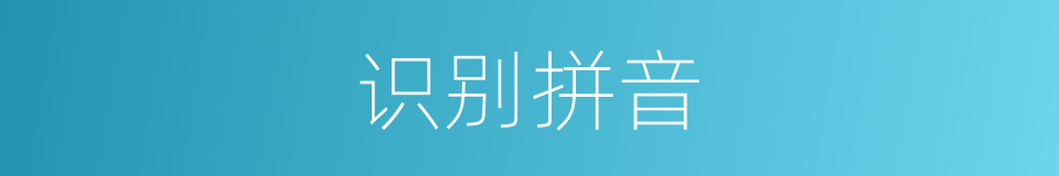 识别拼音的意思