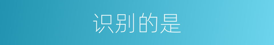 识别的是的意思