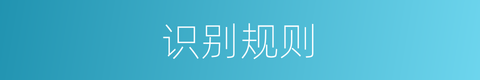 识别规则的同义词
