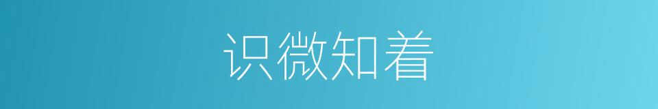 识微知着的意思