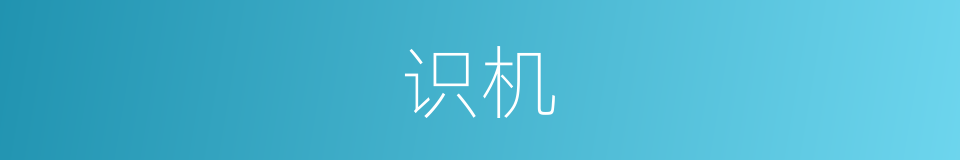 识机的意思