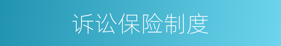 诉讼保险制度的同义词