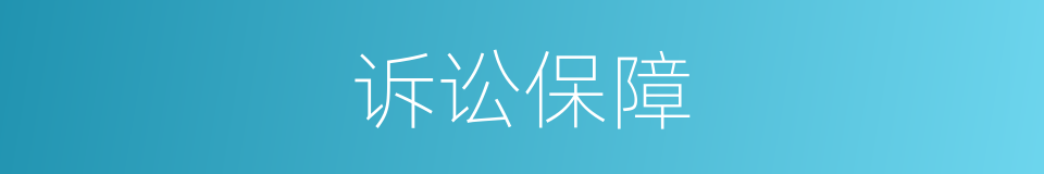 诉讼保障的同义词