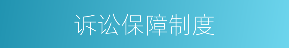 诉讼保障制度的同义词