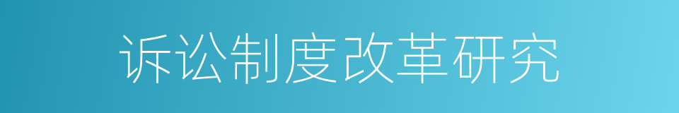 诉讼制度改革研究的同义词