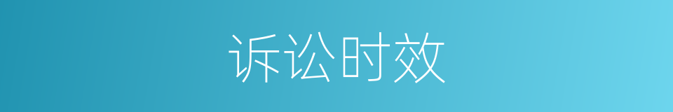 诉讼时效的同义词