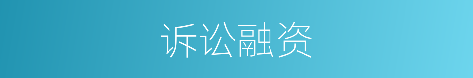 诉讼融资的意思