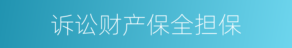 诉讼财产保全担保的同义词