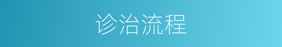 诊治流程的同义词
