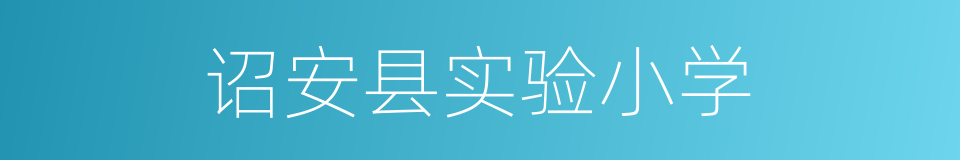 诏安县实验小学的同义词