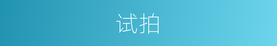 试拍的意思