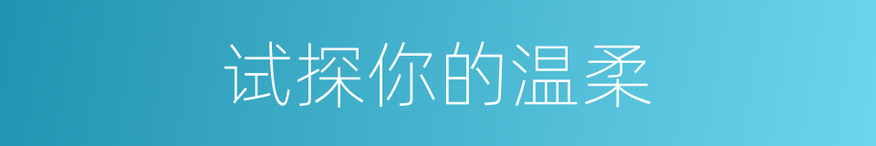 试探你的温柔的同义词