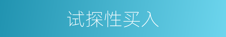 试探性买入的同义词