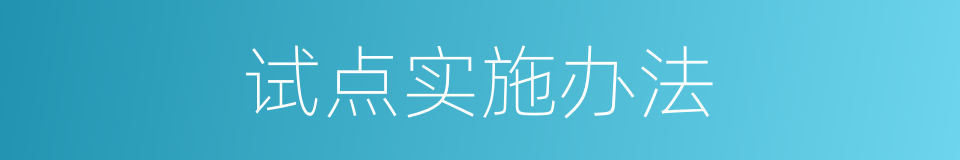 试点实施办法的同义词