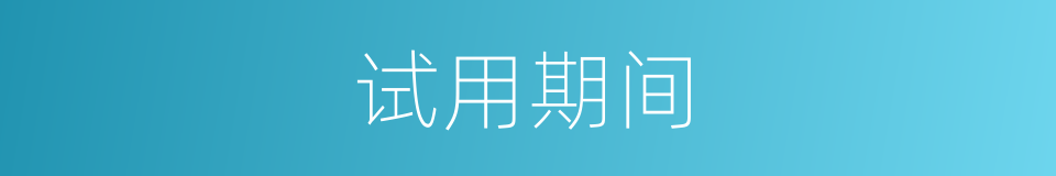 试用期间的同义词