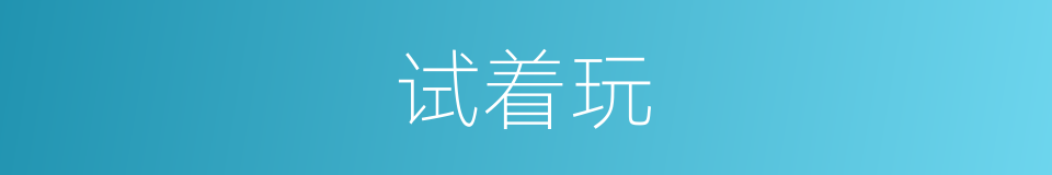 试着玩的同义词