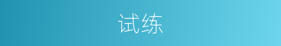 试练的意思