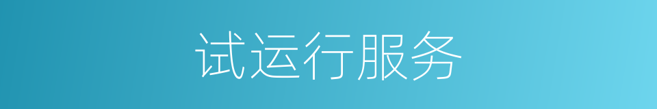 试运行服务的同义词