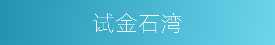 试金石湾的同义词