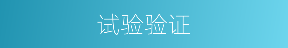 试验验证的同义词
