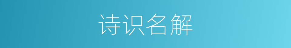 诗识名解的同义词