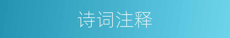 诗词注释的意思