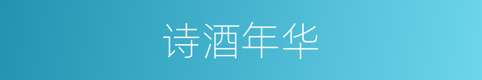 诗酒年华的同义词