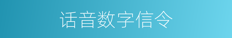 话音数字信令的同义词
