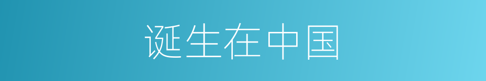 诞生在中国的同义词