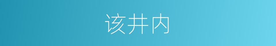 该井内的同义词