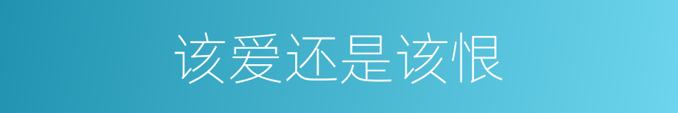 该爱还是该恨的同义词