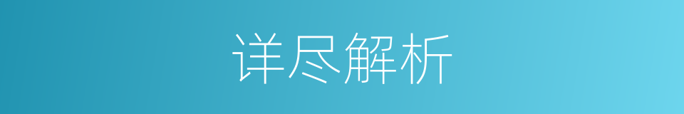 详尽解析的同义词