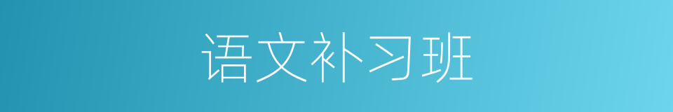 语文补习班的同义词