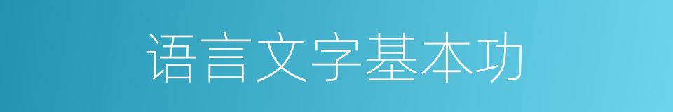 语言文字基本功的同义词