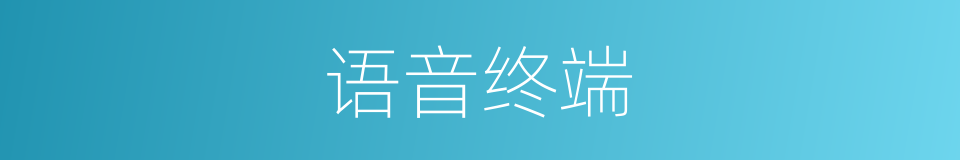 语音终端的同义词