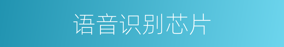语音识别芯片的同义词