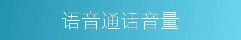 语音通话音量的同义词