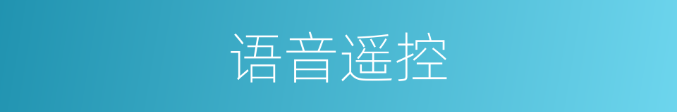 语音遥控的同义词