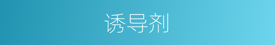 诱导剂的同义词