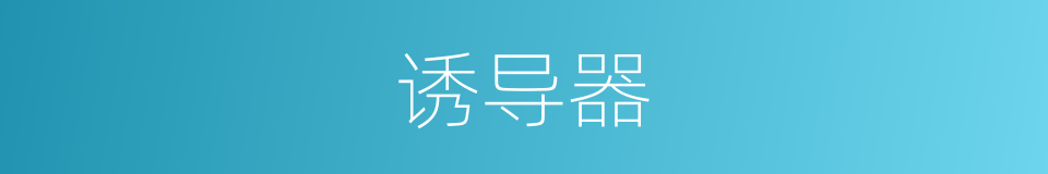 诱导器的同义词