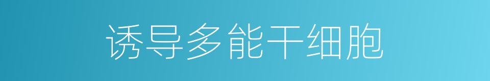 诱导多能干细胞的同义词