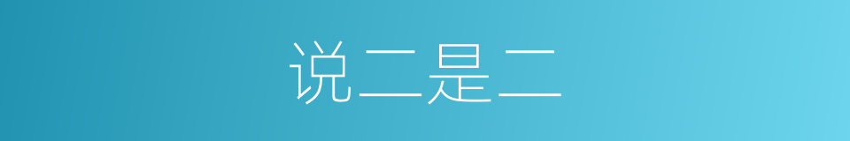 说二是二的同义词