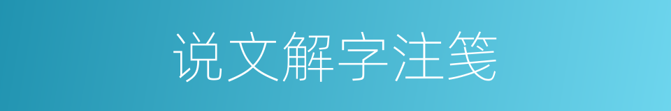 说文解字注笺的同义词
