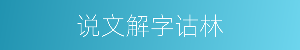说文解字诂林的同义词