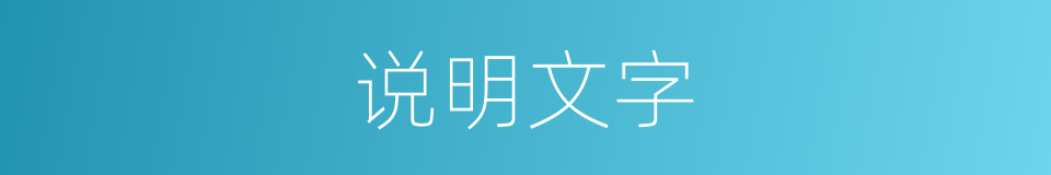 说明文字的同义词